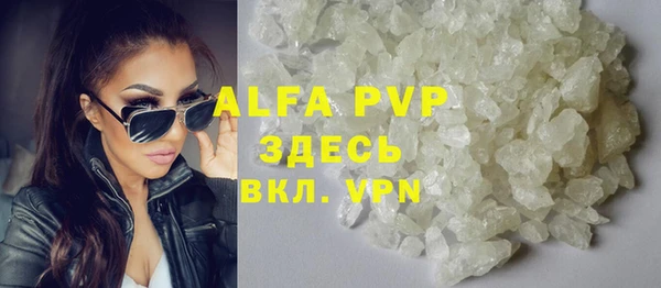 прущие грибы Балабаново