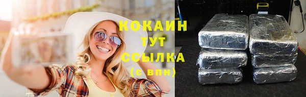 прущие грибы Балабаново