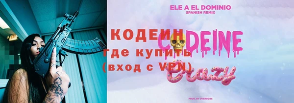 прущие грибы Балабаново