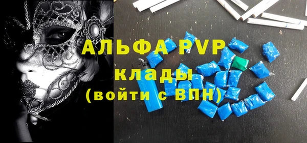 прущие грибы Балабаново