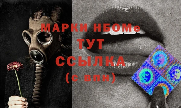 прущие грибы Балабаново