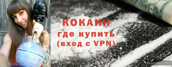 прущие грибы Балабаново