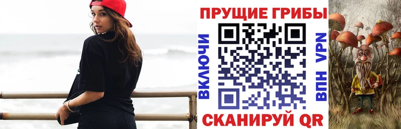 Псилоцибиновые грибы мухоморы Пойковский